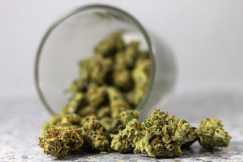 Free Cannabis Falling out of a Glass Stock Photo