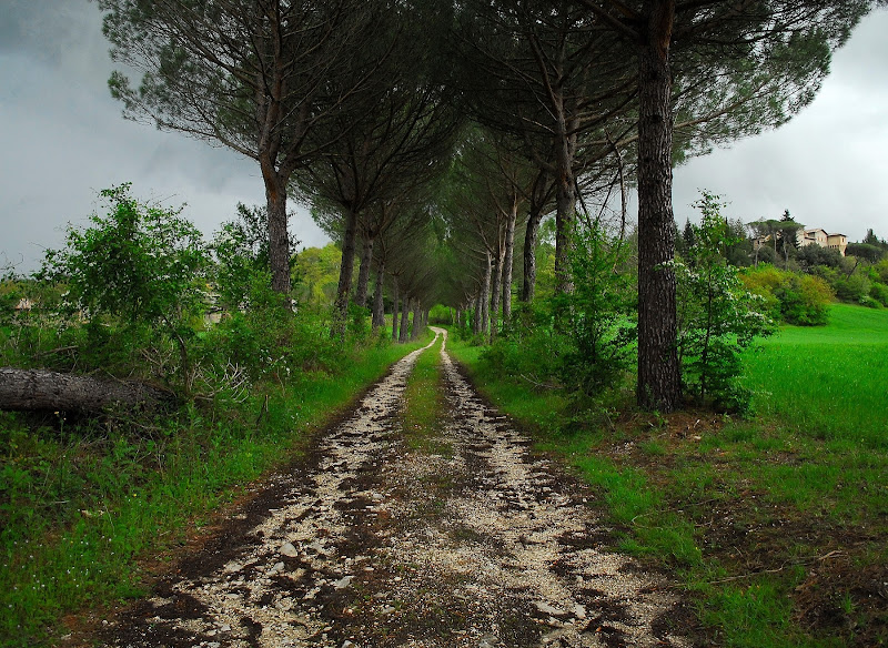 sentiero di campagna di Mikmata