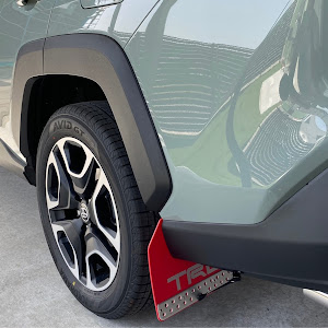 RAV4 MXAA54
