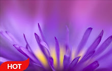 Flower Wallpaper HD Custom New Tab small promo image