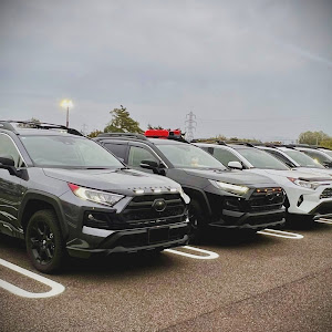 RAV4 MXAA54