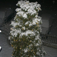 Neve su Emilia di 