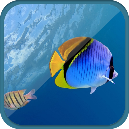 Blue and Charming Fish 個人化 App LOGO-APP開箱王