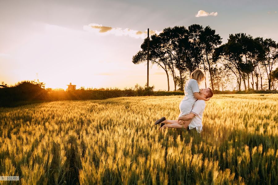 Wedding photographer Oleg Nedilko (nedilko). Photo of 23 August 2017