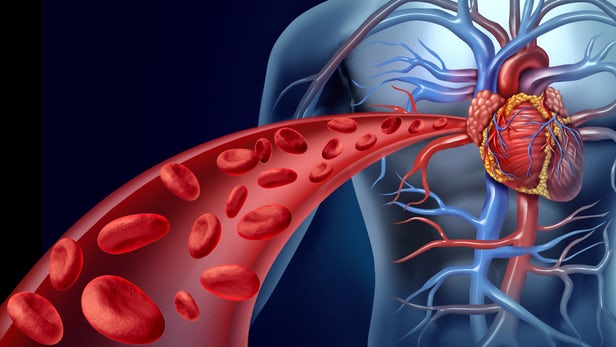 blood flow electricity generation 1