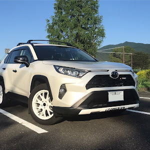 RAV4 MXAA54