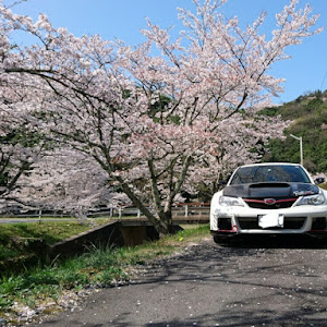 インプレッサ WRX STI GVB