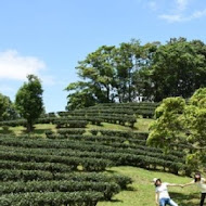 台灣農林熊空茶園