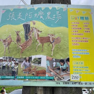 阿嬤蔥油餅