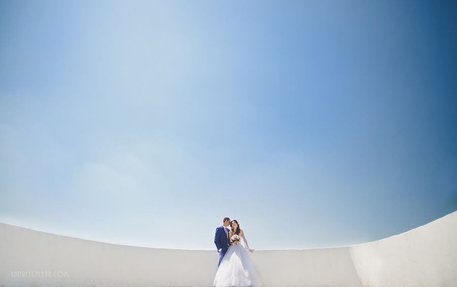 Fotografo di matrimoni Andrey Cheban (andreycheban). Foto del 6 maggio 2017