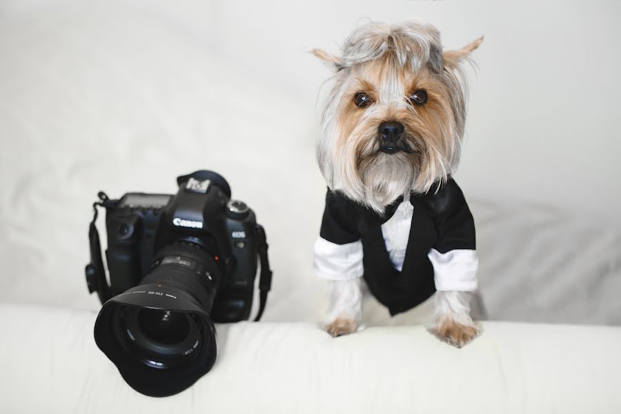 Vestuvių fotografas Romeo Alberti (romeoalberti). Nuotrauka 2019 sausio 31