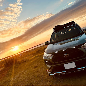 RAV4 MXAA54