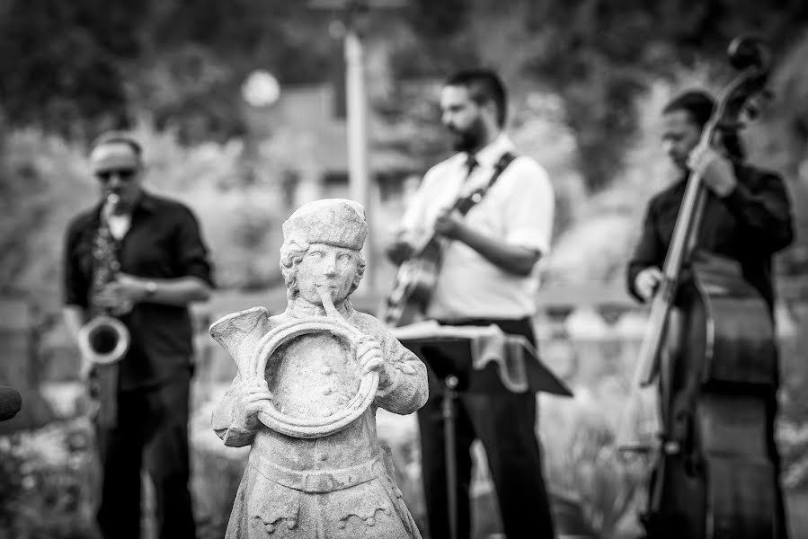 Hochzeitsfotograf Reza Shadab (shadab). Foto vom 21. August 2018