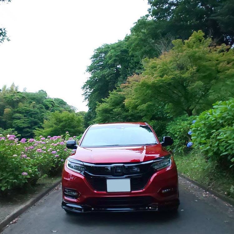 ヴェゼルの赤×黒・紫陽花と愛車に関するカスタム事例の投稿画像1枚目