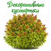 Декоративные кустарники  Icon