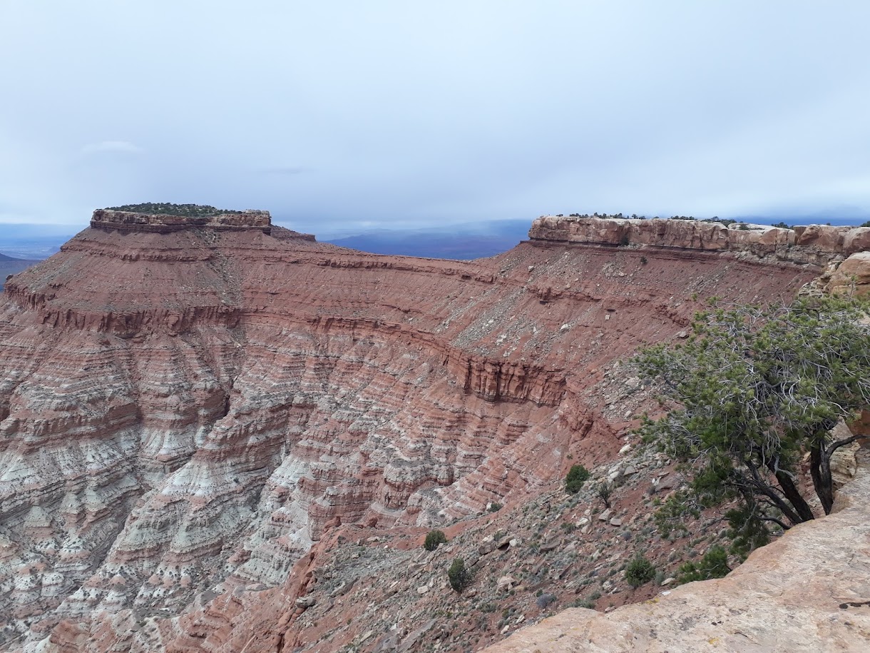 Goosberry Mesa