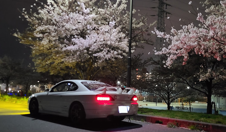 シルビアの桜とコラボ🌸・江東試験場・免許更新に関するカスタム事例の投稿画像2枚目