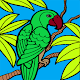 Coloring Birds Install on Windows