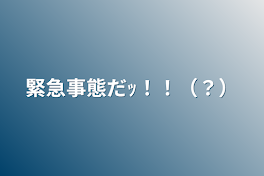 緊急事態だｯ！！（？）