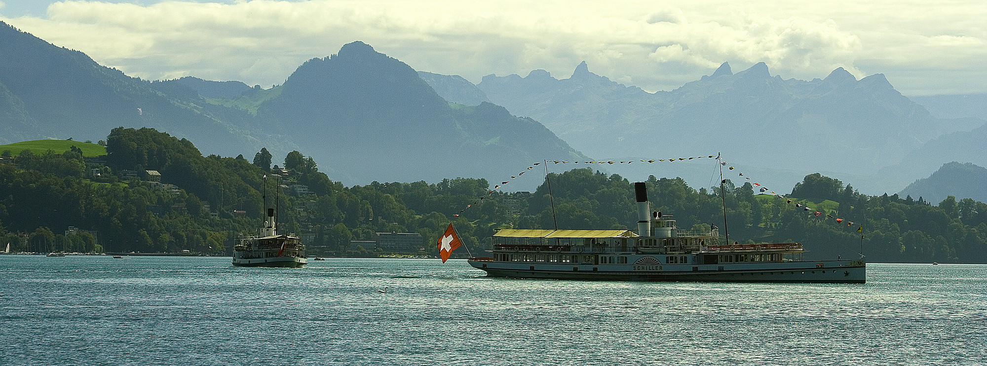 Lucerna di Lupo81