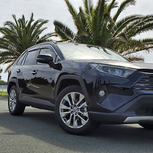 RAV4 MXAA54