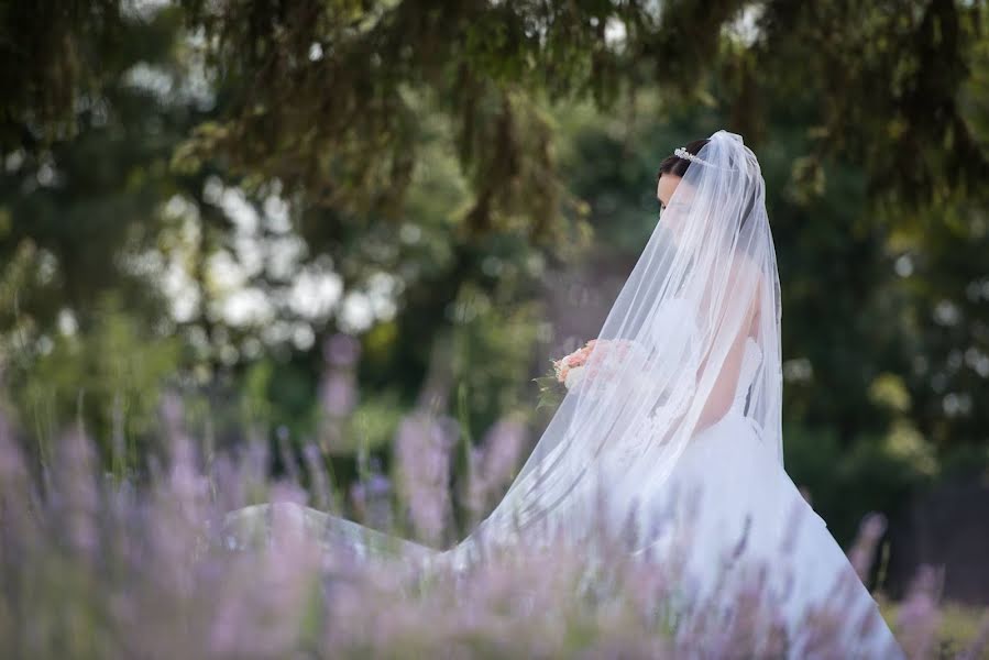 Fotografo di matrimoni Attila Janics (attilajanics). Foto del 3 marzo 2019