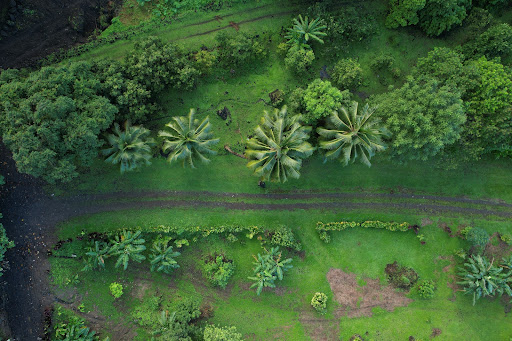 Land 2