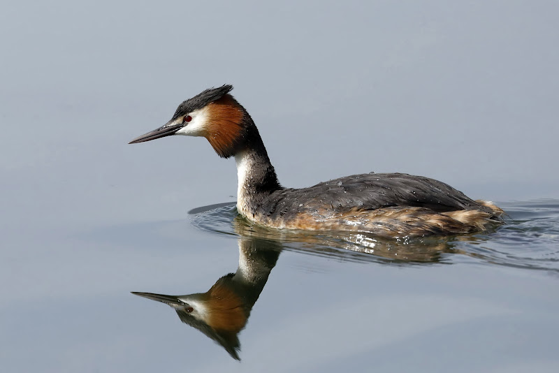 Nello specchio d'acqua... di utente cancellato