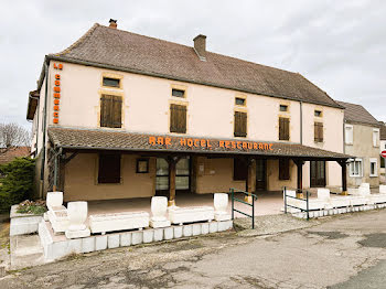 maison à Saint-Yan (71)