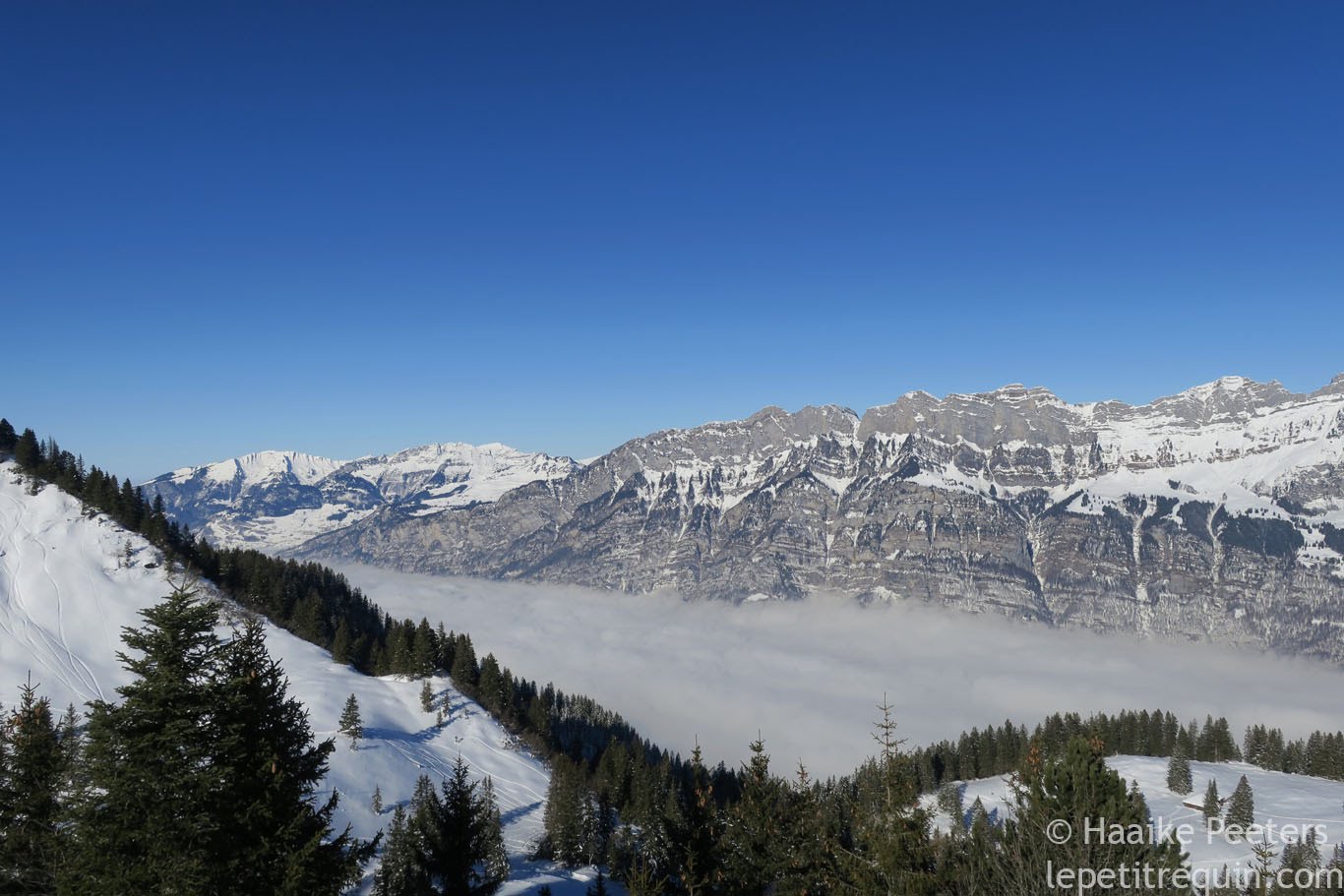 Flumserberg (Le petit requin)