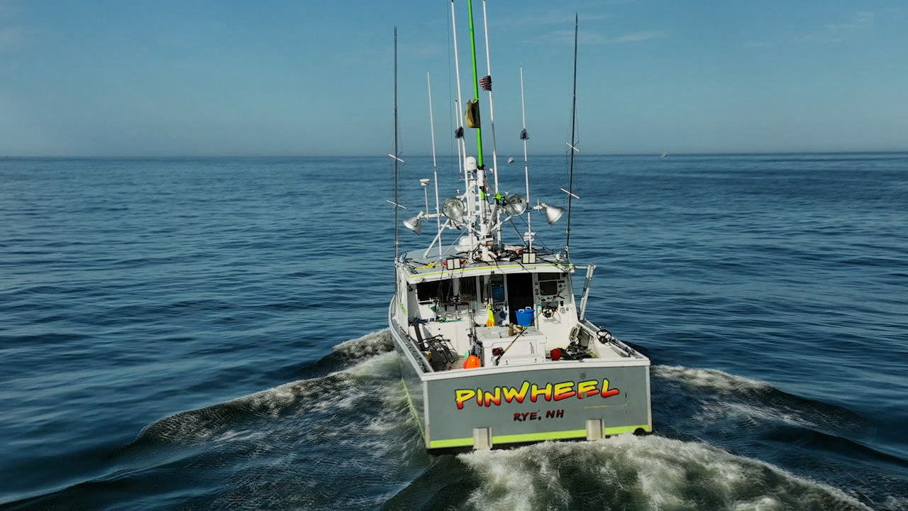 Wicked Tuna