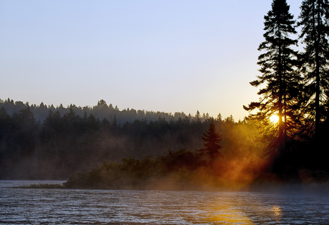 Parc de la mauricie di Andrea Izzotti