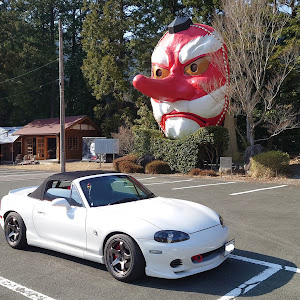 ロードスター NB8C