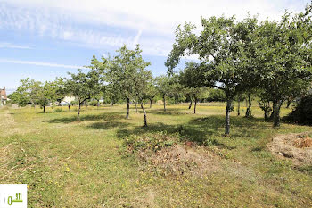 terrain à Sainte-genevieve-des-bois (45)