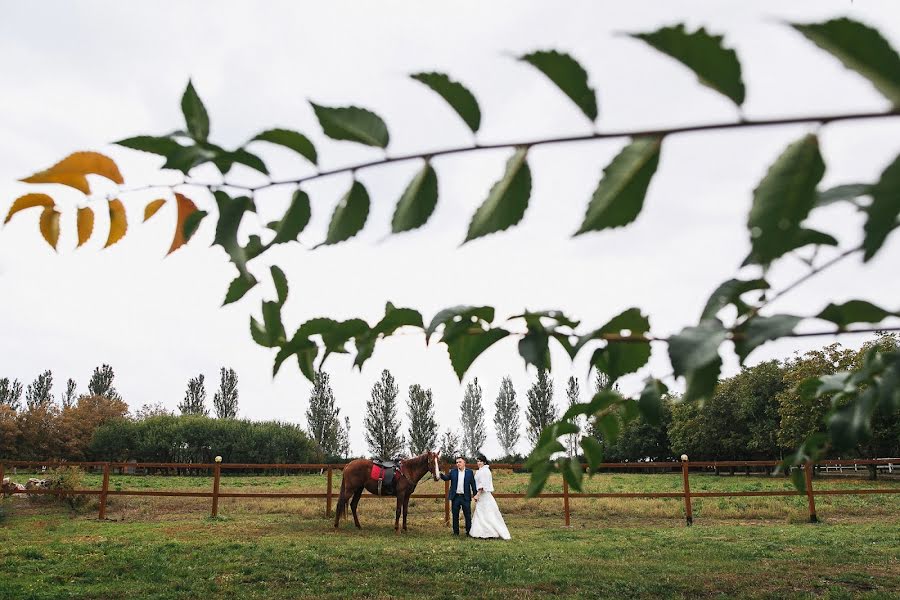 Fotografo di matrimoni Sergey Yanovskiy (yanovskiy). Foto del 28 settembre 2016