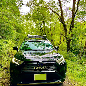 RAV4 AXAH54