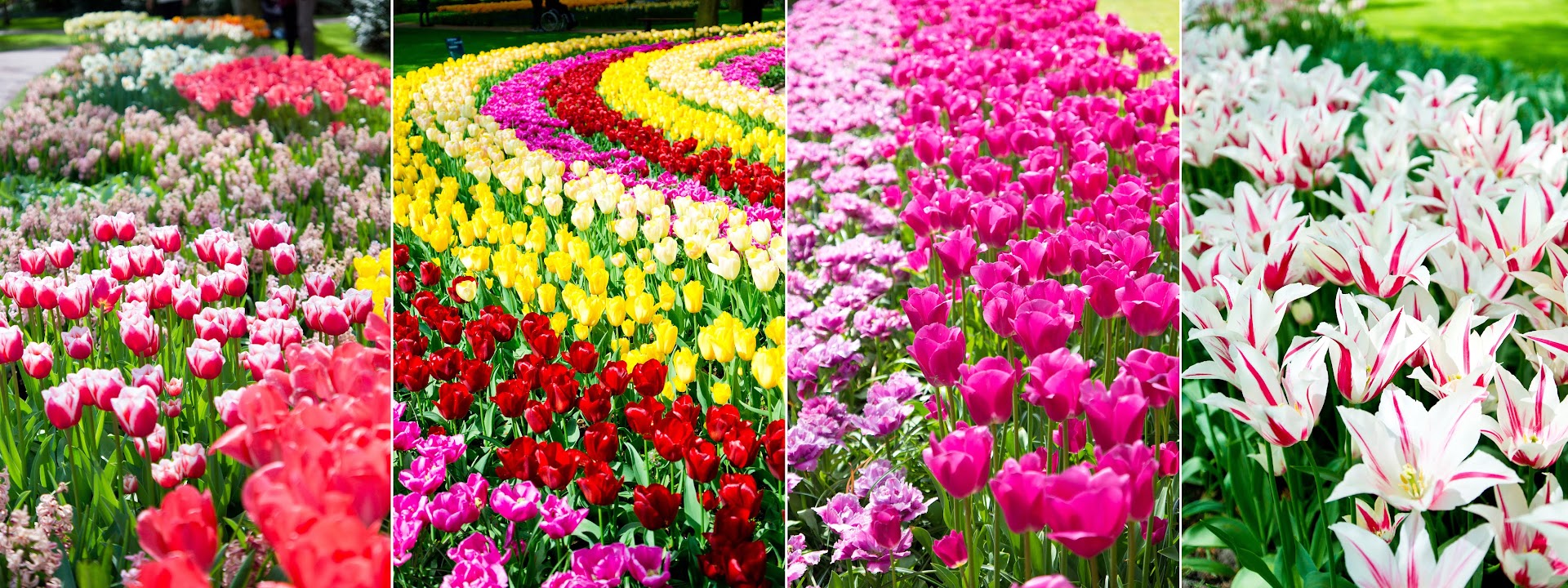 Бенилюкс+маленькие кусочки Франции и Германии. Май 2015. Много фото