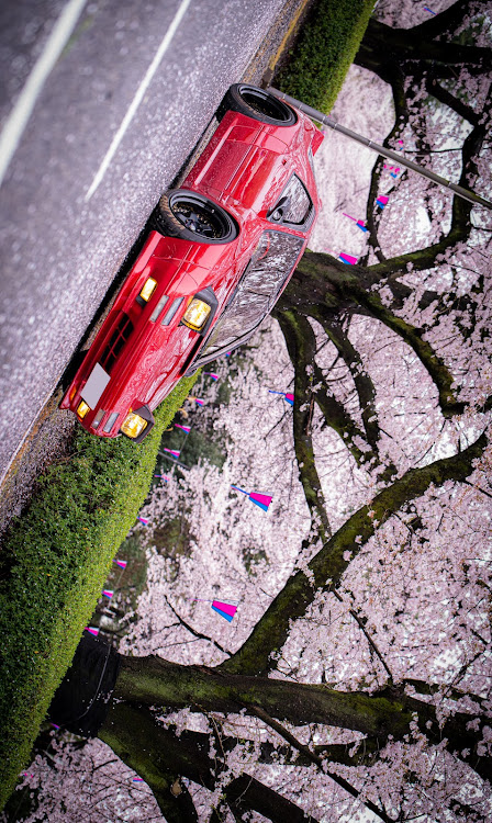 RX-7の桜とコラボ🌸・サクラと愛車・FC3S・RX-7・桜に関するカスタム事例の投稿画像2枚目
