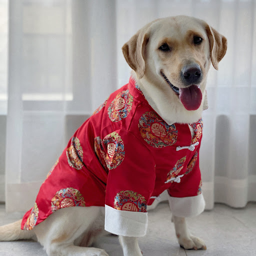 Title 5, Festive Chinese Style Clothes for Pet Dogs Dres...