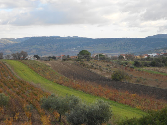 i colori dell'agricoltura di vicky.serra.90