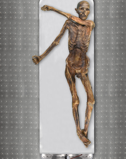Najpoznatija evropska mumija - čovek iz alpskog glečera - poreklom iz Anadolije