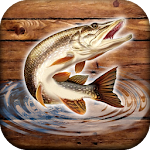 Cover Image of Herunterladen Fischregen: Sportfischen 0.1.1.1 APK