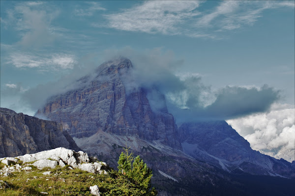 Tofana di Rozes di pietro_mazzoni