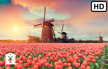 Netherlands HD Wallpapers New Tab small promo image