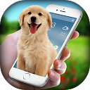 Download Dog in Phone - Dog On Screen Funny Joke Install Latest APK downloader