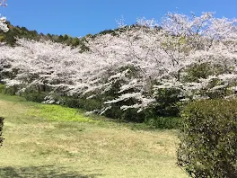 僕たちのアオハル物語    1