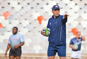 The Toyota Cheetahs head coach Franco Smith.