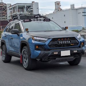 RAV4 AXAH54