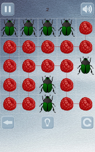 Berry puzzle