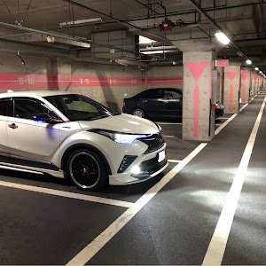 C-HR ZYX10